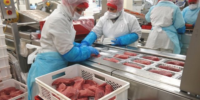 In der Fleischverarbeitung gelten strenge Hygieneregeln, die ohne Biozide nicht umzusetzen wären. (Bild BauZ)