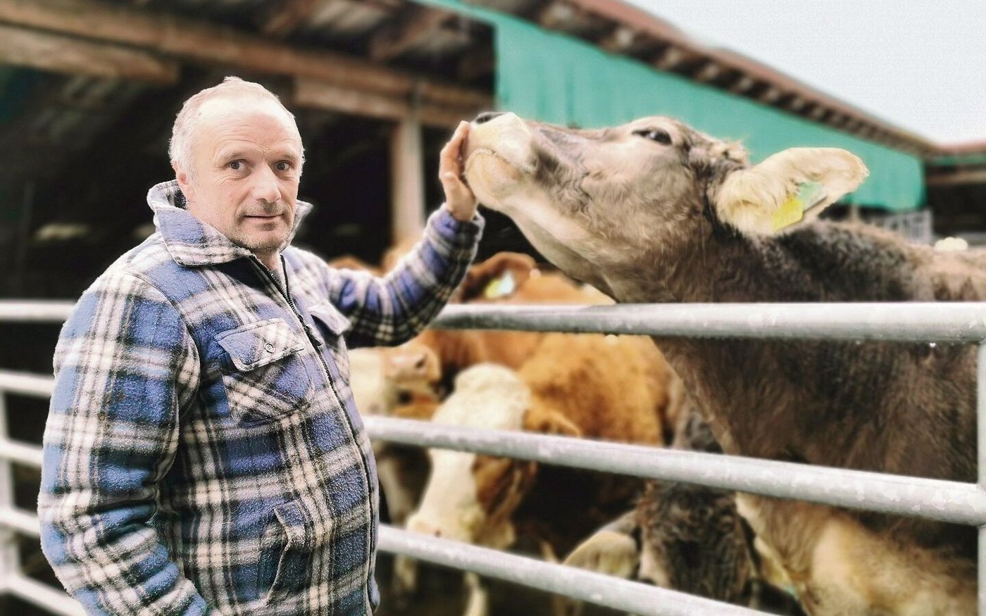Die Rinder von Thomas Michel dürfen neu kein Antibiotika mehr bekommen. Das hat Aldi ohne Vorlaufzeit bestimmt.