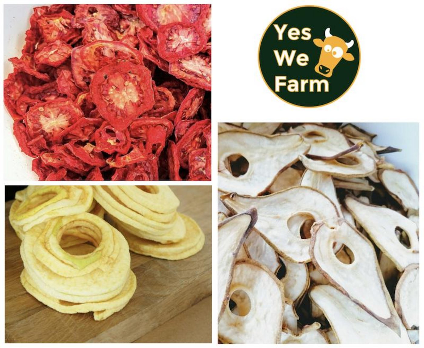 Eines der ersten Deutschschweizer Projekte ist Rohnatur, das Seeländer Obst, Gemüse und Beeren getrocknet verkauft. (Bilder rohnatur.ch/ yeswefarm.ch / Montage jsc)