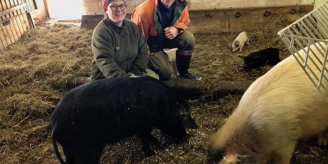 Susanne und Christian Knaus mit ihren Alpenschweinen: Bei der Muttersau vorne rechts stimmt zwar die Blutlinie, sie muss trotzdem ausgemerzt werden, da sie zu wenig schwarze Ferkel wirft. (Bilder Esther Thalmann)