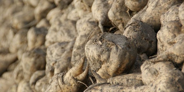 Der Markt hat sich etwas erholt. (Bild lid)