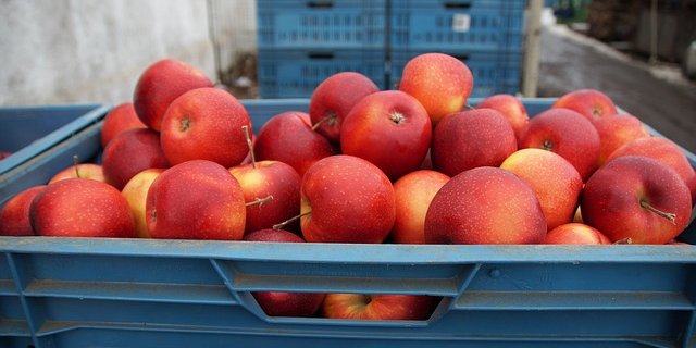 Im Vergleich zu 2017 sind die Lagerbestände der Tafeläpfel 4'164 Tonnen höher. (Symbolbild Pixabay)