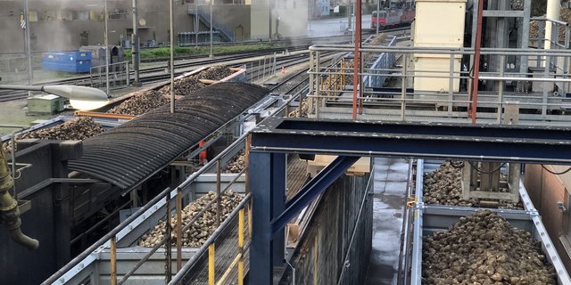 Auch bei der Bahnlogistik hatte die Zucker AG mit Anlaufproblemen zu kämpfen. Aufgrund des akuten Lokführermangels konnte für kurzfristige krankheitsbedingte Ausfälle kein Ersatz organisiert werden, was zu zwei Zugsausfällen führte. (Bild K. Erfurt)