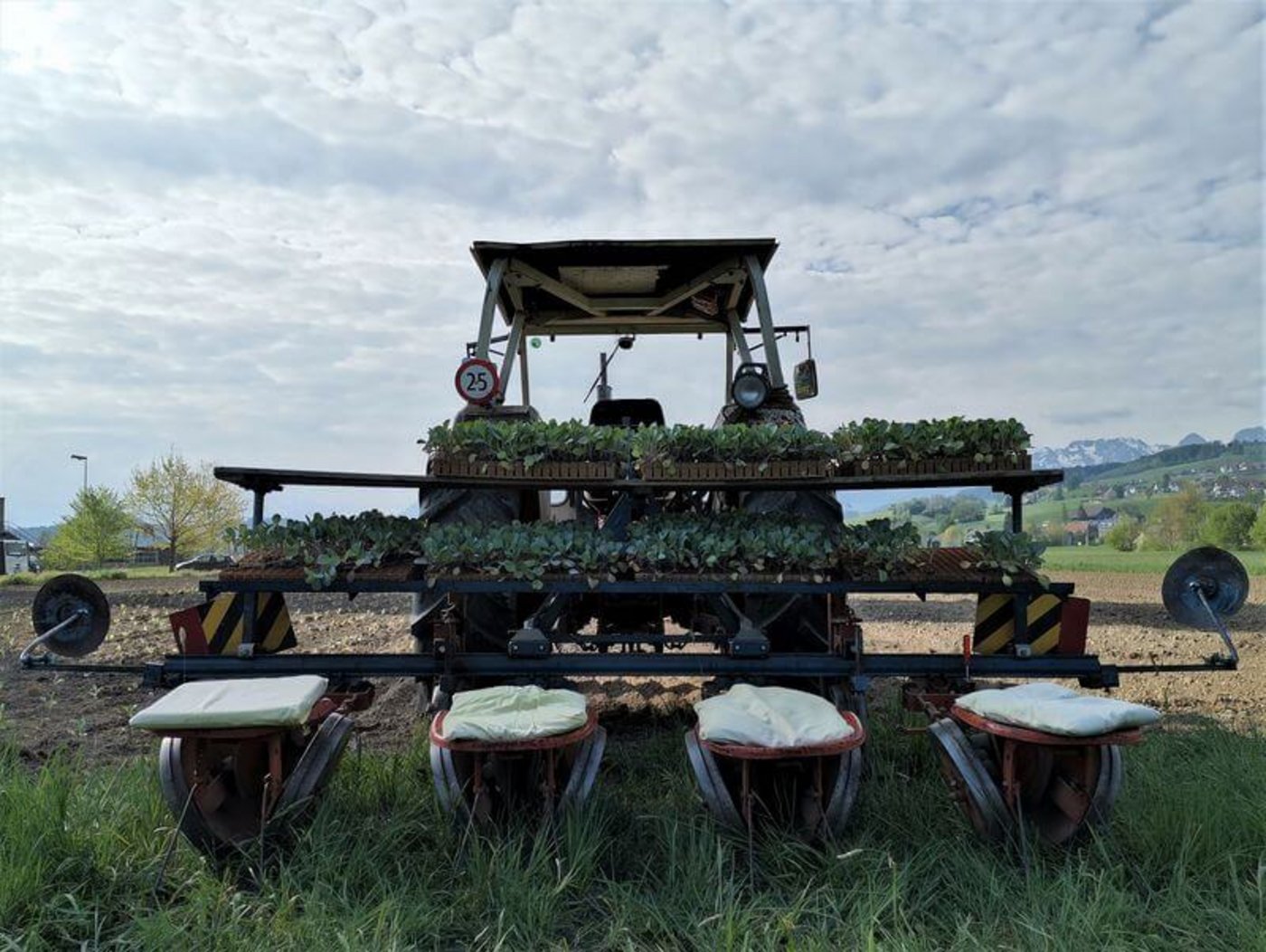 In den Kalenderwochen 17 und 19 wird auf dem «Hof am Stutz» jeweils Kabis gesetzt. Auf der Setzmaschine haben 4 Helfer Platz, die die Setzlinge in einen vorbereiteten Spalt im Boden fallen lassen. (Bild mg)
