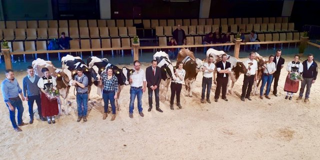Das Schlussbild der 24. Starparade in Burgdorf. Alle Stars in einer Reihe.