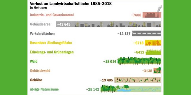 Siedlungen und Wald statt Felder und Wälder. Diese Entwicklung zeigt sich in der Schweiz schon lange. (Quelle Arealstatistik Schweiz/Grafik mi)
