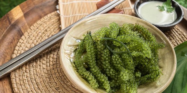 Meerestraube dient als gesunder Ersatz für Kaviar