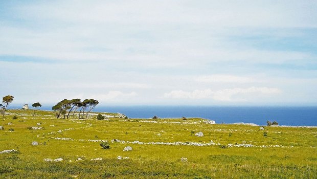 Die Landschaft in der italienischen Region Salento, dem «Stiefelabsatz» Italiens, ist wunderschön und aussergewöhnlich.