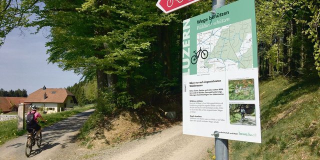 Der Wald wird vielseitig genutzt, da braucht es Regeln. Der neue kantonale WEP definiert Vorrangfunktionen. 