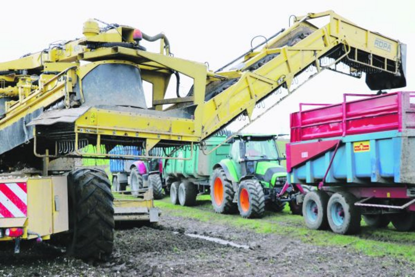 Die Organisation der Rübentransporte soll effizienter werden. Die «Transportorganisation Frauenfeld» soll schon ab dieser Kampagne die Transporte koordinieren. (Bild BauZ)
