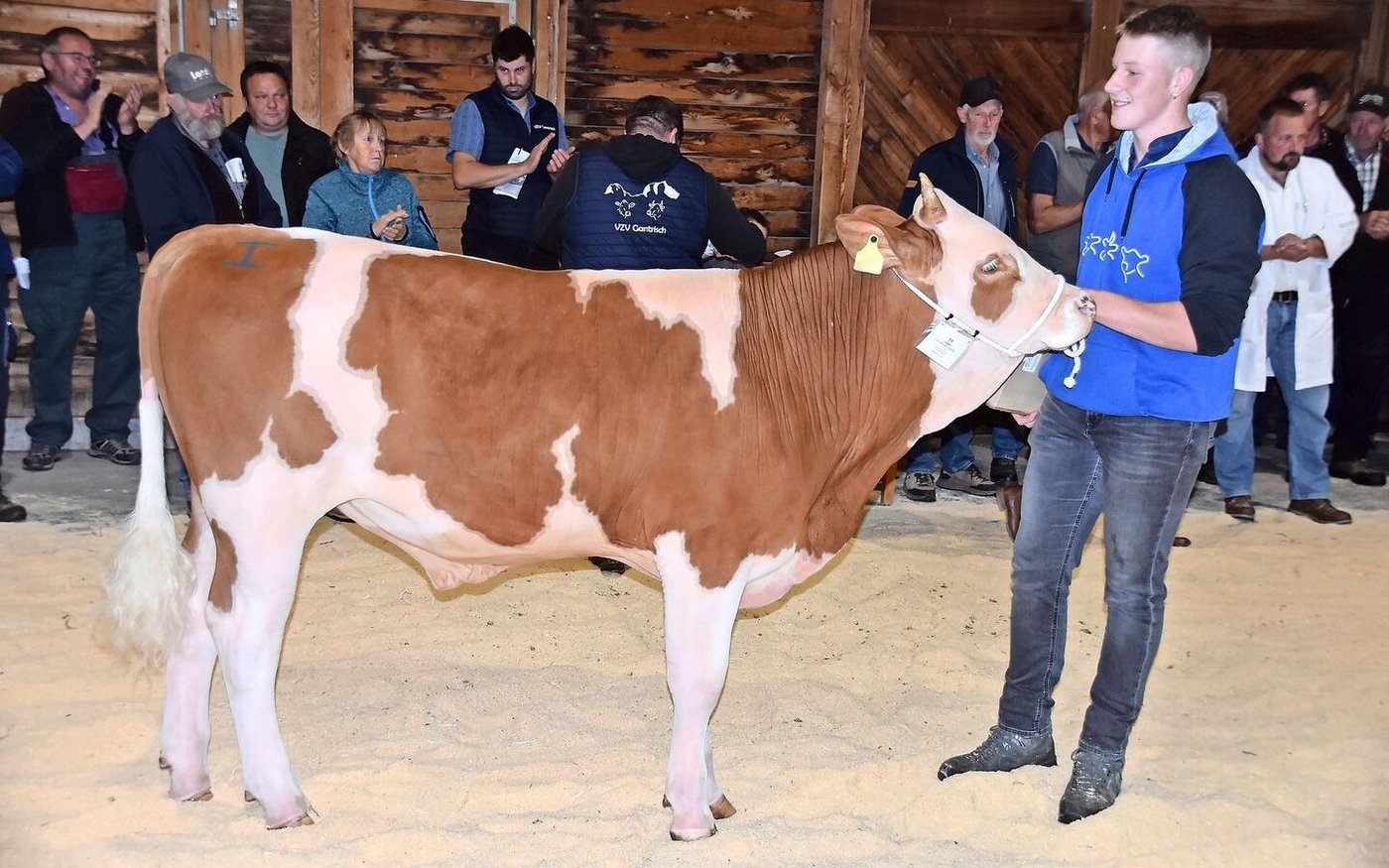 Den Titel Mister Stierkalb holte sich der exakte Simmentalerstier Bencer Hans von Ueli Staudenmann, Sangernboden. 