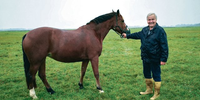 Ludwig Schramm präsentiert seine Freibergerstute Hanni «Haloa du Péca» (Eucario/Eclar) im Herbst 2020 auf der Weide. Sie gehört jetzt Sandra Honegger. Die Auswandererin hat lange von einem eigenen Pferd geträumt. (Bild zVg)