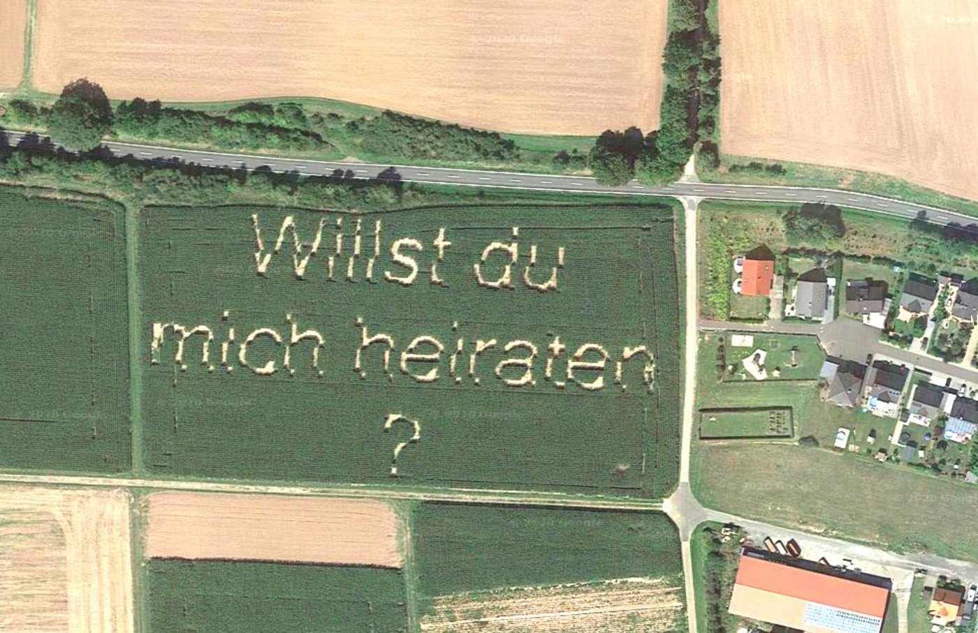 Wie kann man da nein sagen? (Bilder Screenshot Google Earth)