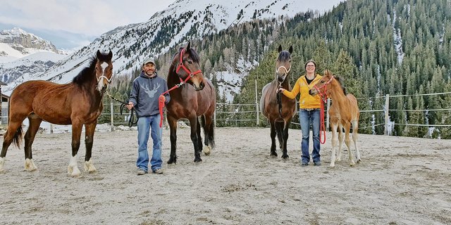 Die Familie Patrick und Petra Adank-Vinzens vom Hof Gaschurna ist stolz auf ihre Freibergerzucht: Patrick Adank mit Cash und Elena, Petra Adank   mit Ella und Dakota. (Bilder Vrena Crameri-Daeppen)