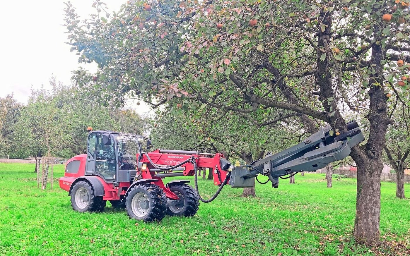 Die Baumschüttelmaschine hat Philipp Hafner von seinem Schwiegervater übernommen und fährt damit rund 150 Betriebe an.