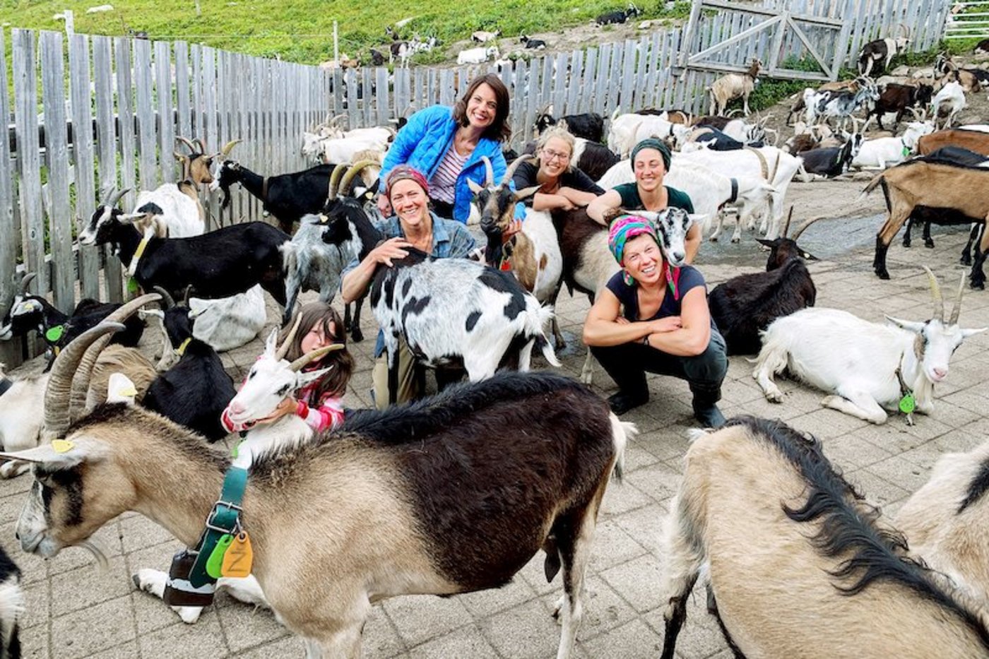 Auf der Alp Puzzrtta arbeiten ausschliesslich Frauen. Kurzzeitig ist auch Fernseh-Frau Mona Vetsch dabei. (Bild SRF)