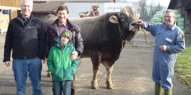 Jongleur-ET mit Züchter Gion Peter Vinzens aus Luven GR und Sohn Fabio. Links Richard Schmid, Regionalleiter Mülligen, und an der Halfter Leo Grünenfelder, Betriebsleiter Mülligen. (Bild: zVg)