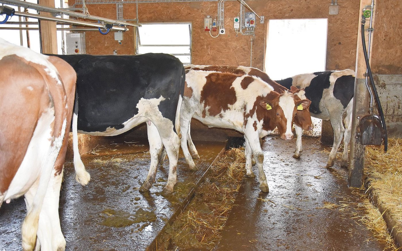 Der Druck auf gutes Kulturland hält unvermindert an, vor allem in Entwicklungsgebieten wie im Raum Sempachersee.  (Bild Josef Scherer)