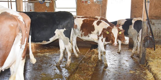 Der Druck auf gutes Kulturland hält unvermindert an, vor allem in Entwicklungsgebieten wie im Raum Sempachersee.  (Bild Josef Scherer)