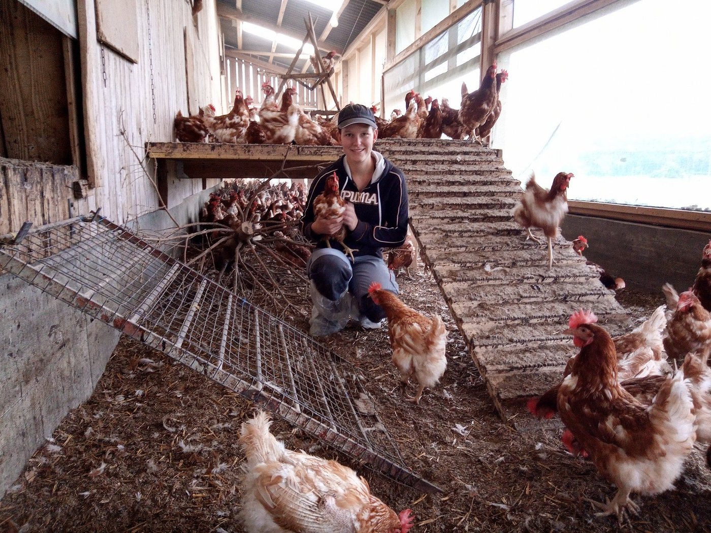 Corina Soltermann aus Utzigen BE befindet sich im dritten Lehrjahr auf dem Betrieb von Daniel Kläsi in Allmendingen BE. (Bilder zVg)