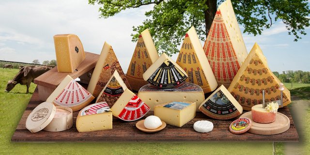 21 Kilo Käse in diversen Variationen werden hierzulande pro Kopf und Jahr gegessen. Im Agroscope-Versuch liess sich der Jod-Gehalt von Tilsiter, Gruyère und Camembert deutlich steigern. (Bild Switzerland Cheese Marketing)