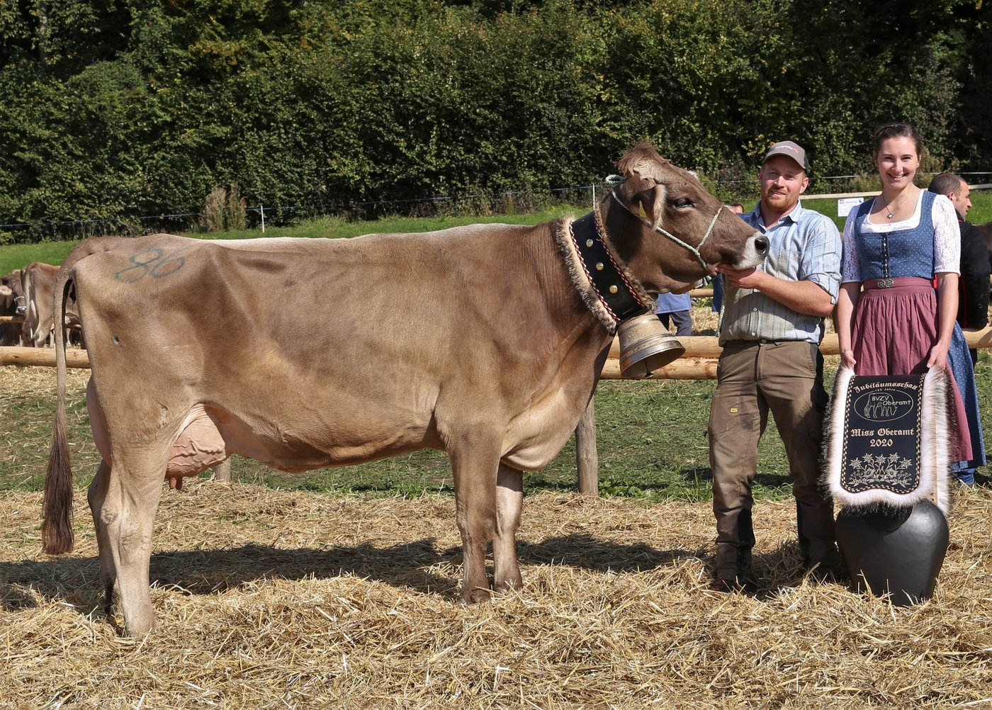 Roland Odermatt aus Hausen am Albis hatte mit seiner Braunviehkuh Tanja einen erfolgreichen Tag. Neben dem Miss Titel holte diese noch drei weitere Titel. (Bilder Reto Betschart)