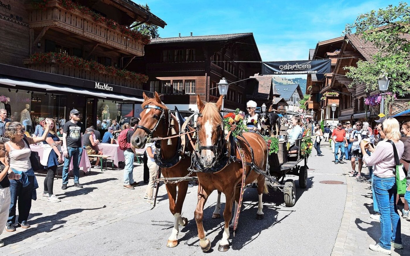 Der schöne Zweispänner der Familie von Grünigen. Auch der Hund hatte seine Freude daran.