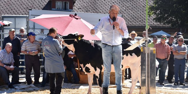 Das gut zweijährige Rind Fankusers Brewmaster -E Julia von Ueli Aeschlimann, Trub BE, ging für 4000 Franken an einen neuen Besitzer.