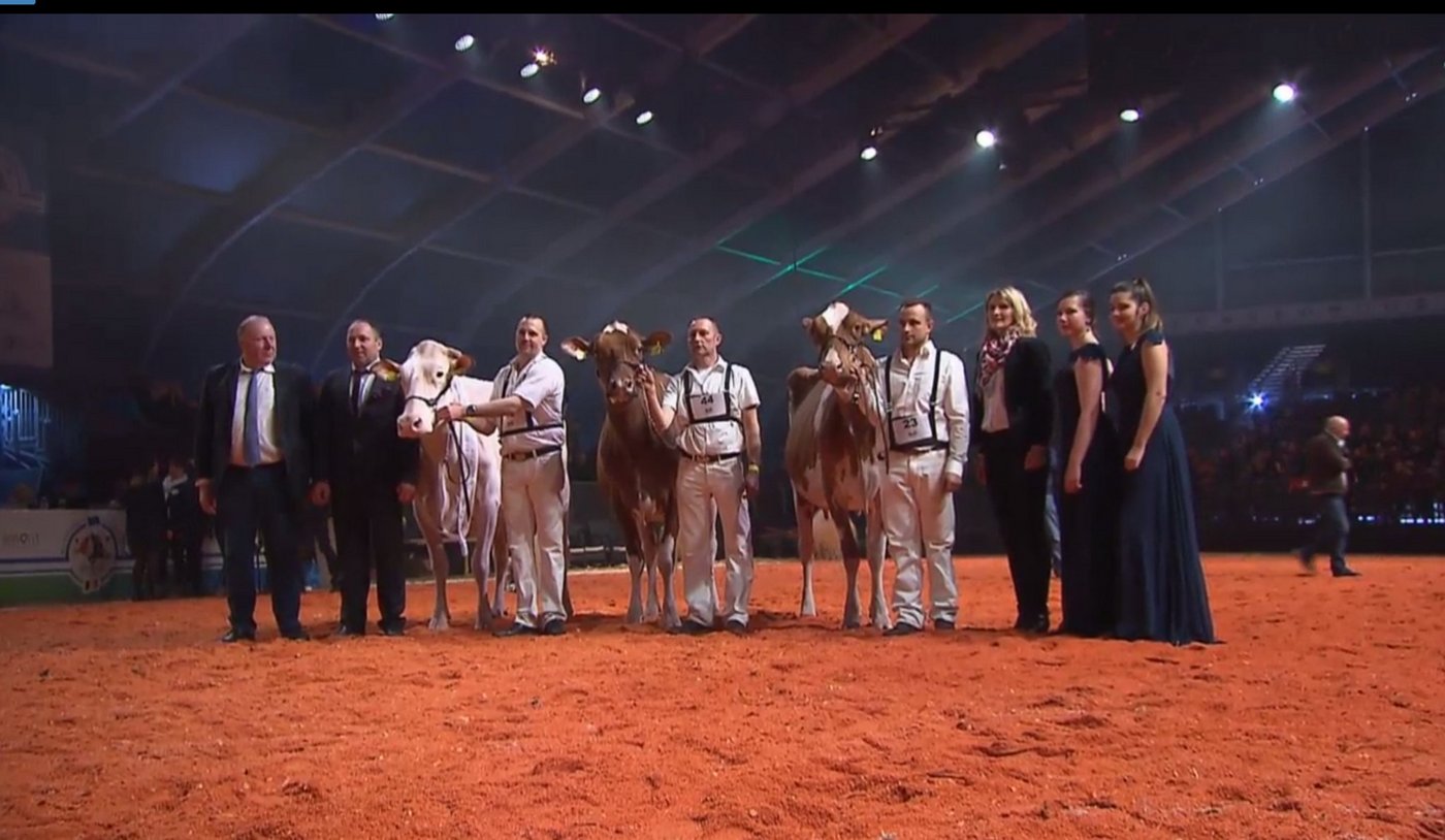 Die Grande Champion Pastique, die Reserve Armani Brook und die Mention Lotus Barbalala (v. l. n. r.). 