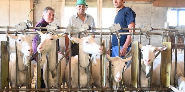 «Wir würden die Sanierung wieder machen», sagt Daniel Bachmann (rechts). (Bild Jasmine Baumann)