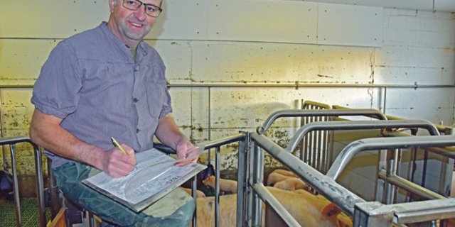 Mit 128 Muttersauen kann sich Peter Bühlmann nicht über mangelnde Arbeit beklagen. (Bild Peter Fankhauser)