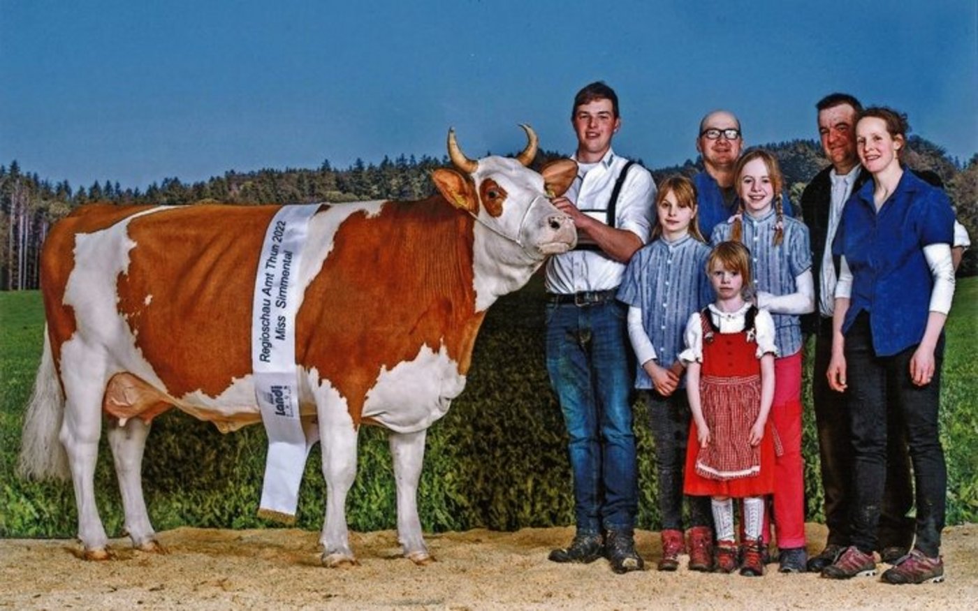 Eine Traumkuh von Oeschs: Fabbio Calida (44 44 94/VG 85 1. Laktation) wurde im Jahr 2022 Miss Simmental an der Regioschau Amt Thun.