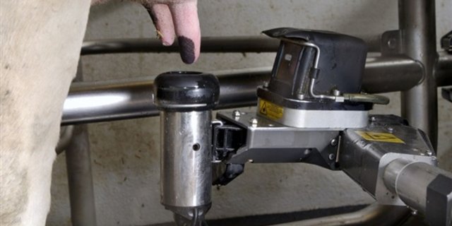 Der Antibiotikaeinsatz in der Milchproduktion hat leicht abgenommen, es braucht aber weitere Anstrengungen. (Bild zVg)