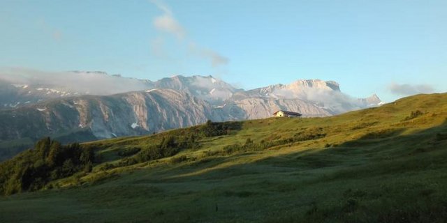 Jessica Rinnerthaler geniesst es, über die wilden Weiden zu gehen. (Bilder Jessica und Raphael Rinnerthaler)