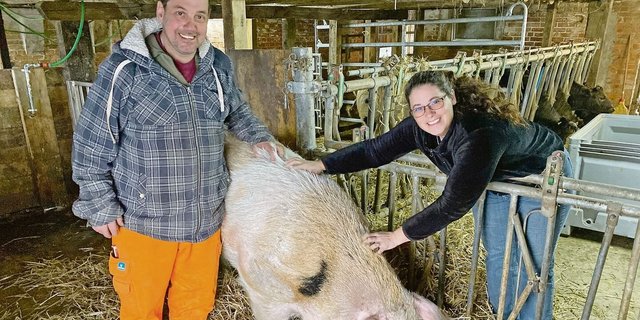 Andreas Hirschi, Esther Hürlimann und Johnny. Der 435 kg schwere, 4-jährige Eber ist nun auf dem Hof Biseggmatte, wo er als Deckeber bis zu seinem Lebensende verbleiben wird. 