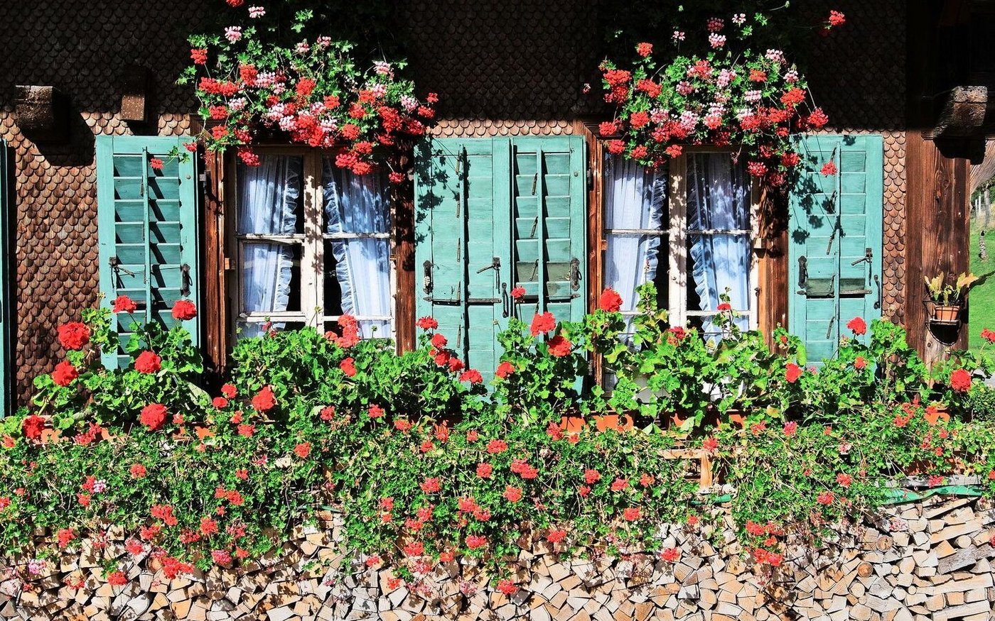 Traditionell: Bauernhaus mit Geranien-Schmuck.