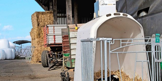 Dieses Kalb ist drei Wochen vor dem Termin auf die Welt gekommen. «Früher hätten wir Mühe gehabt, diesen Kerl durchzubringen. Mit der Wärme des Solariums stehen die Chancen aber gut», sagt Senior-Landwirt Paul Frey von der Staffelegg im Kanton Aargau.