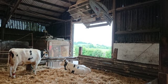 Technische und mechanische Lüftungen beeinflussen die Innentemperatur viel stärker als die Gebäudeform oder Orientierung. (Bild Möcklinghoff-Wicke /landwirt-media.com)