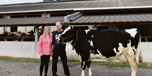 Colin-Tochter Arbona war die erste Holsteinkuh, die Daniela und Peter Keller an der Aargauer Auktion gekauft haben. (Bild Ruth Aerni)