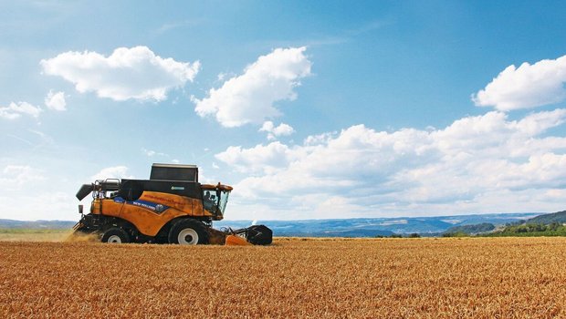 Das Stroh sollte gut auf der Fläche verteilt werden, was bei kurzer Häcksellänge einfacher ist. In eine gleichmässige Mulchschicht lässt sich präziser direkt säen. 