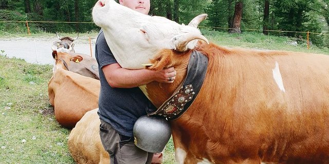 Der Walliser Christian Schuler und seine Raja haben einander sichtlich gern. Raja stammt aus eigener Zucht.(Bild Christian Schuler)