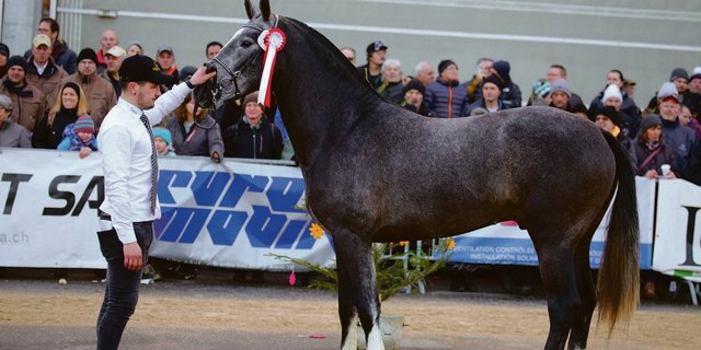 Die Zuschauer dürfen beim Stationstest dieses Jahr nicht dabei sein. (Bild kr)