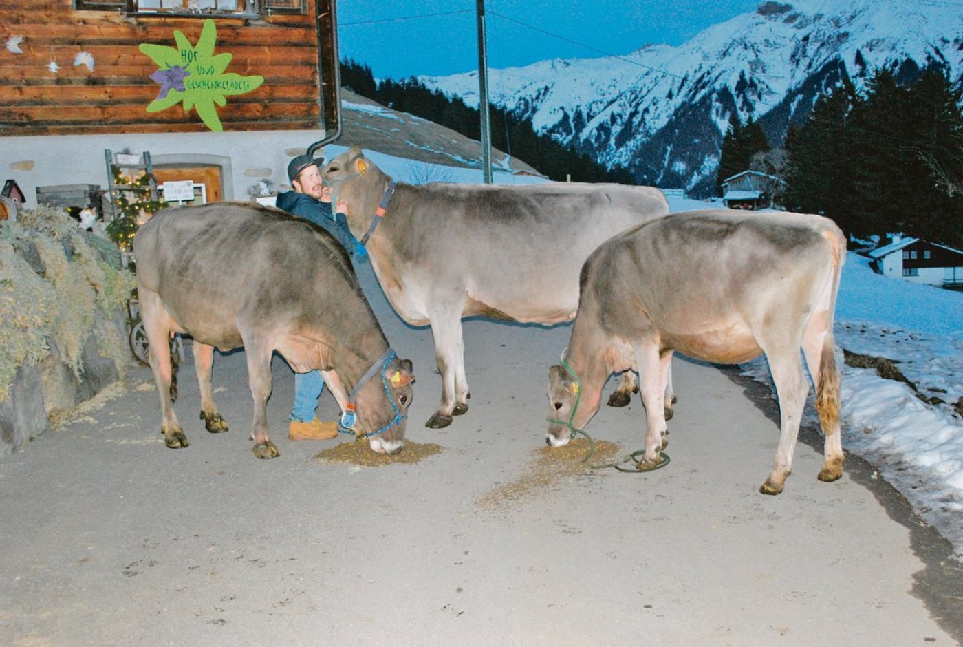 Ein starkes Prättigauer Team: Lukas Meier mit  Blooming Fasca (Mitte) und ihren Töchtern Salomon Sarina (links) und Lennox Lucy (rechts). (Bild Rolf Meier)