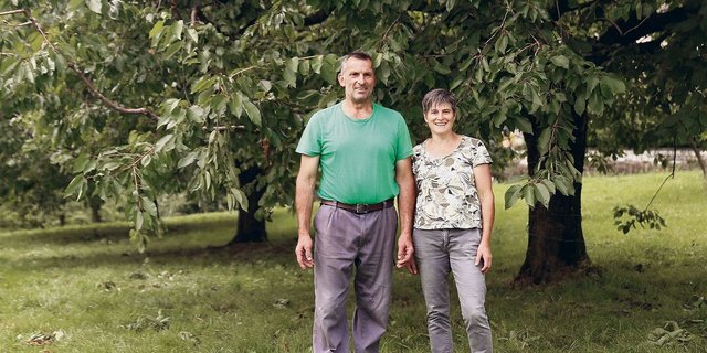 Bei ihrer Betriebsübernahme vor 30 Jahren pflanzten Silvia und Xaver Schelbert Kirschbäume. Dieses Jahr mussten sie infolge der KEF einen Totalausfall an Tafelkirschen verzeichnen. 