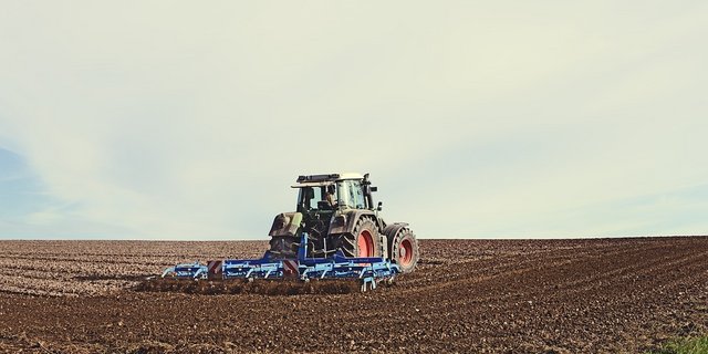 Immer auf dem Feld: Viele Schweizer Landwirte arbeiten gemäss dem Bundesamt für Statistik mehr als 100 Prozent. (Bild Pixabay)