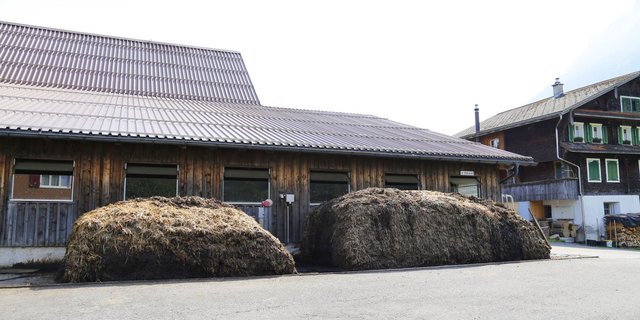 Mist ist die wichtigste Phosphorquelle der Schweizer Landwirtschaft. (Bild ji)