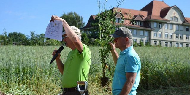 Bei den Ansätzen von Freidrich Näser und Dietmar Wenz spielt die Pflanzenphysiologie eine grosse Rolle. (Bild jsc)