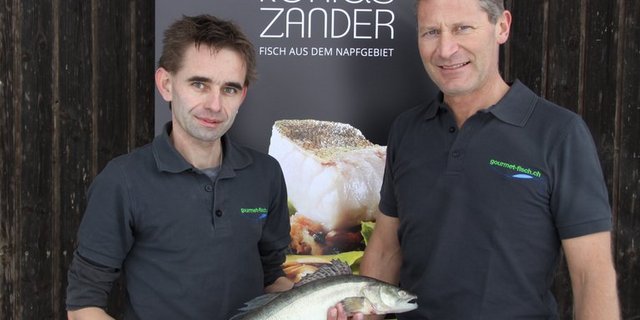 Die Landwirte Thomas Muri und Reto Kaufmann produzieren jährlich rund 12 Tonnen Zander. (gourmet-fisch.ch)
