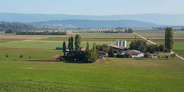 Wie soll die künftige Agrarpolitik gestaltet sein? Die Meinungen gehen auseinander und der Vorschlag des Bundesrats stösst auf wenig Gegenliebe. (Bild lid)