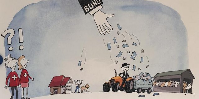 Durch die AP22+ profitieren grosse Betriebe mehr, eine Gefahr für kleinbäuerliche Betriebsvielfalt. (Bild VKMB)